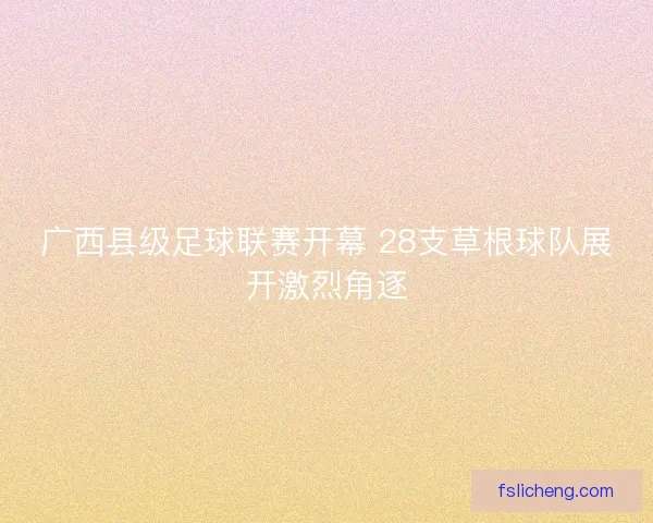 广西县级足球联赛开幕 28支草根球队展开激烈角逐